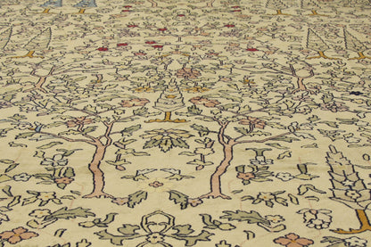 11 x 19 Antique Indian Agra Rug 72912