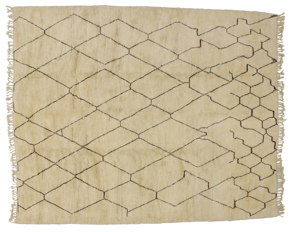 10 x 12 Moroccan Rug 20339