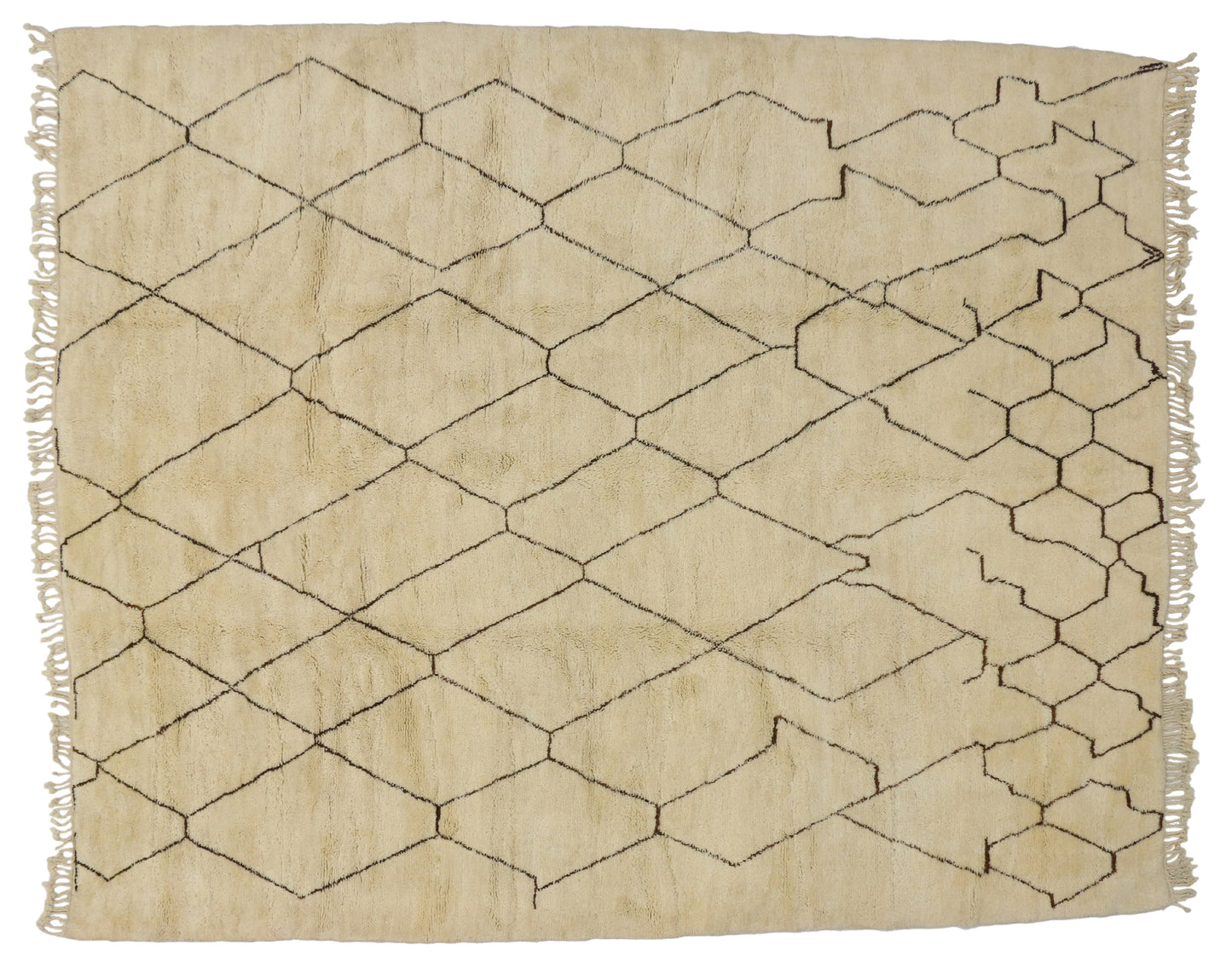 10 x 12 Moroccan Rug 20339