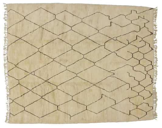 10 x 12 Moroccan Rug 20339