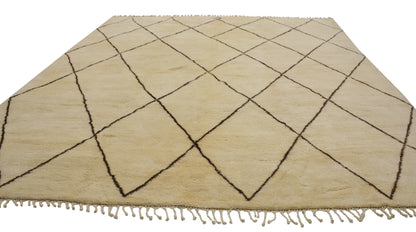 11 x 13 Moroccan Rug 20341