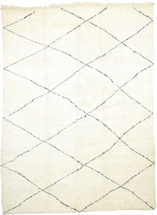 10 x 14 Moroccan Rug 20789