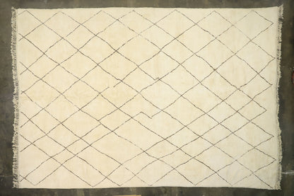 14 x 19 Moroccan Rug 20806