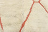 5 x 7 Beni Mrirt Moroccan Rug 21035