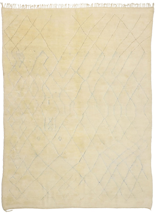 10 x 14 Organic Modern Beni Mrirt Moroccan Rug 21083
