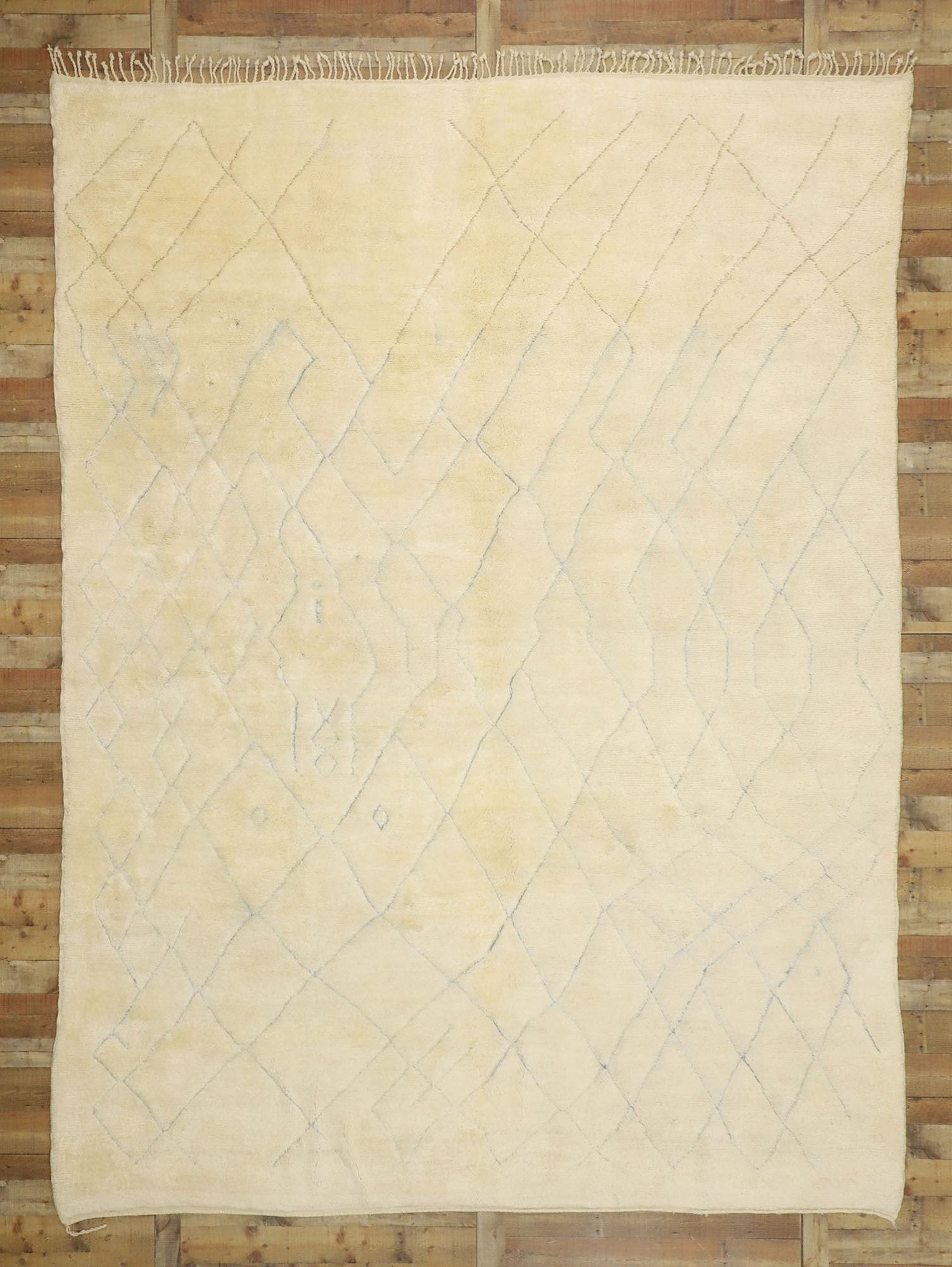 10 x 14 Organic Modern Beni Mrirt Moroccan Rug 21083