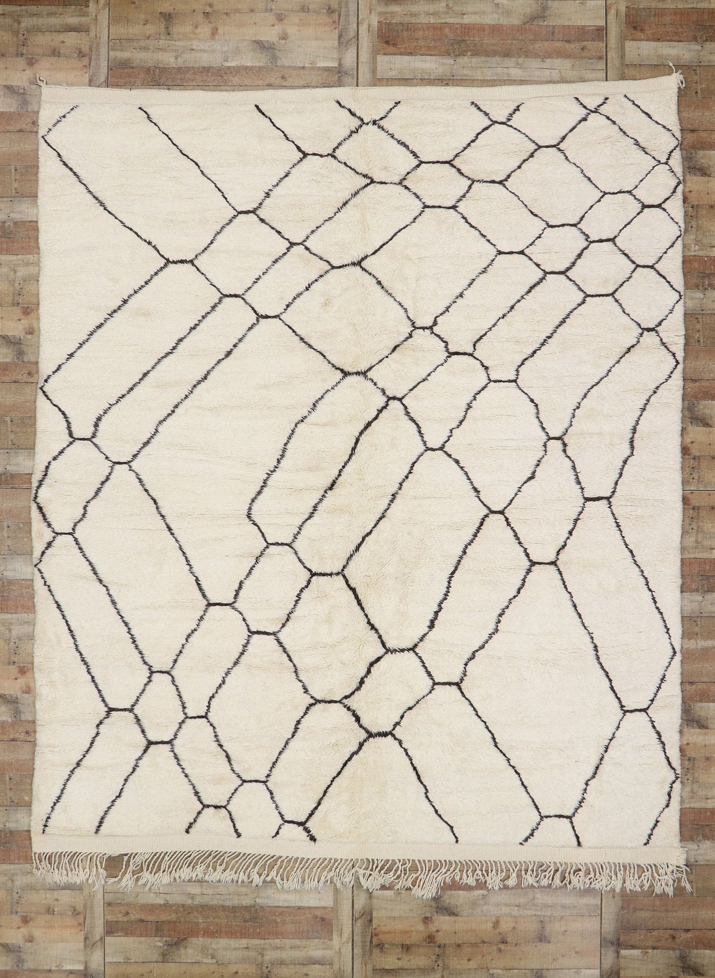 10 x 12 Organic Modern Moroccan Rug 21097