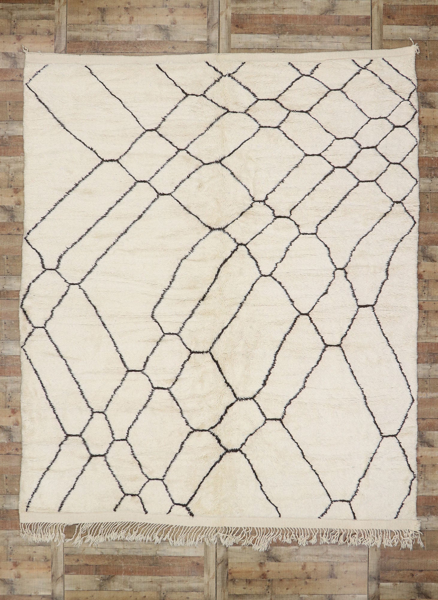 10 x 12 Organic Modern Moroccan Rug 21097
