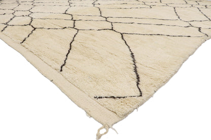 10 x 12 Organic Modern Moroccan Rug 21097