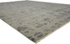 10 x 14 Transitional Rug 30101