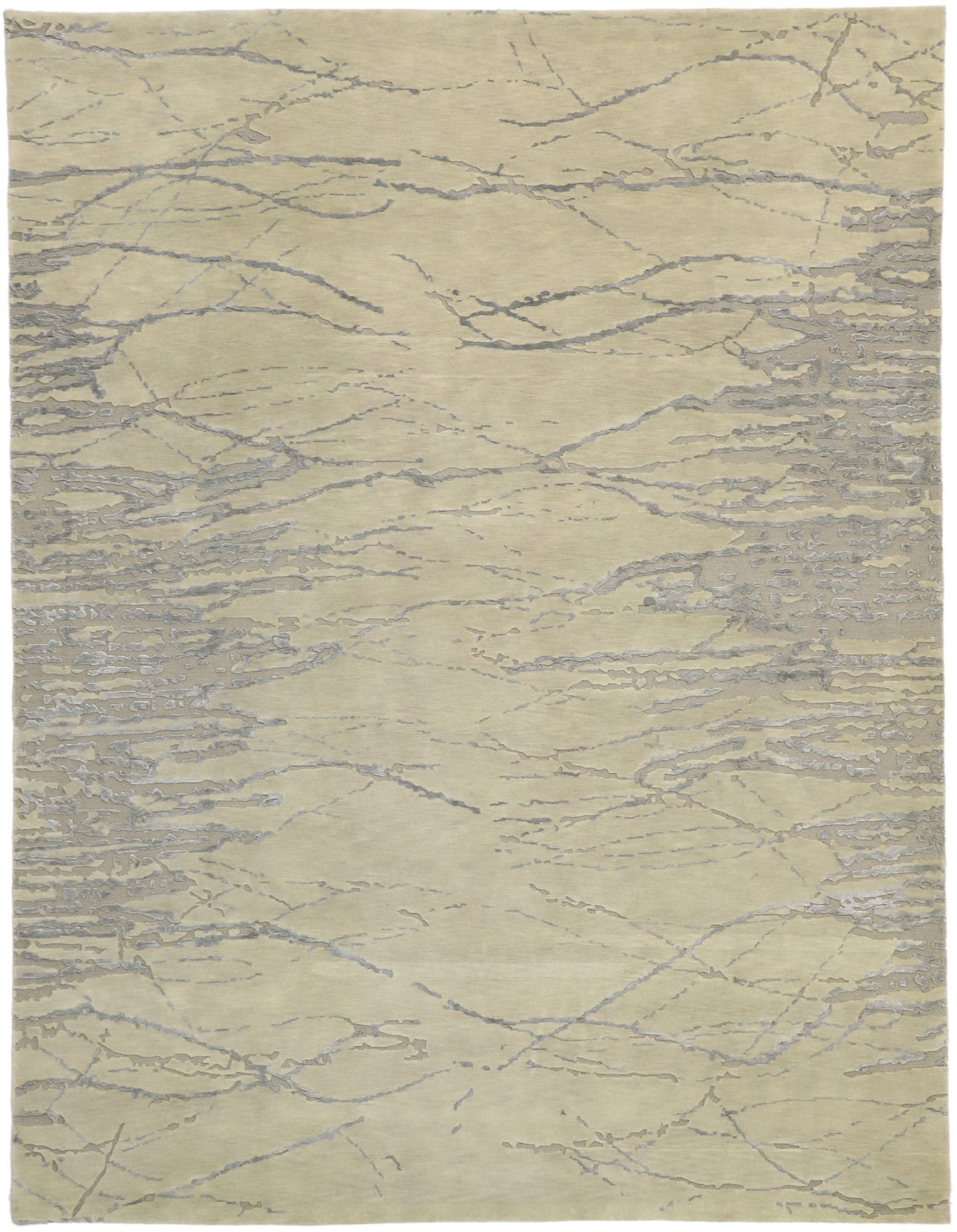 9 x 12 Contemporary Indian Transitional Rug 30242