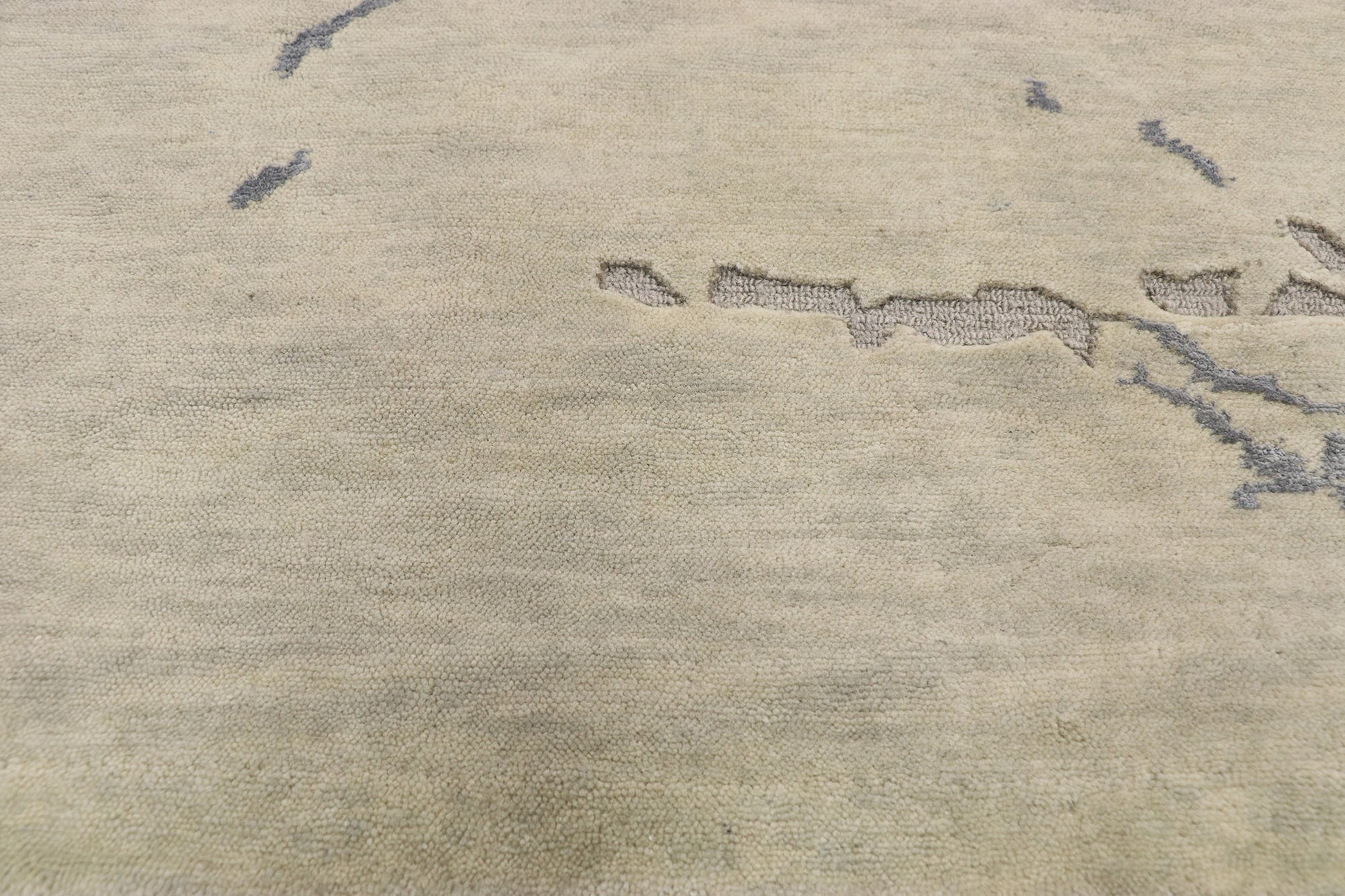 9 x 12 Contemporary Indian Transitional Rug 30242