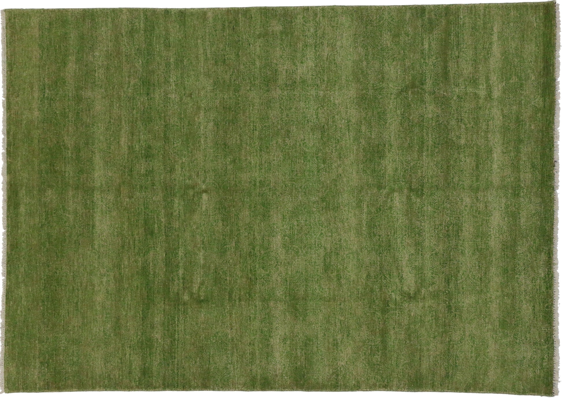 6 x 9 Transitional Contemporary Rug 30281