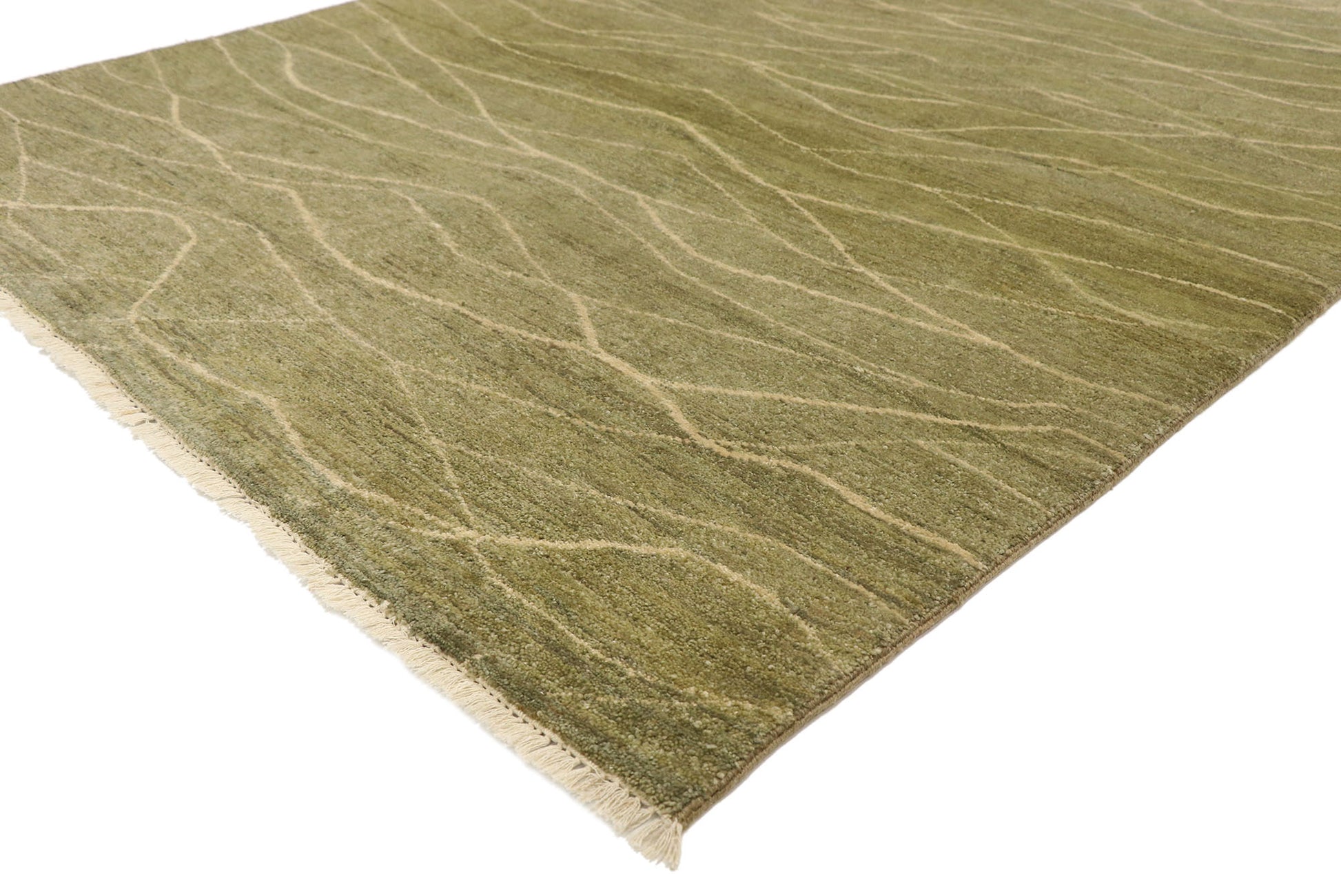 4 x 6 Transitional Indian Rug 30287