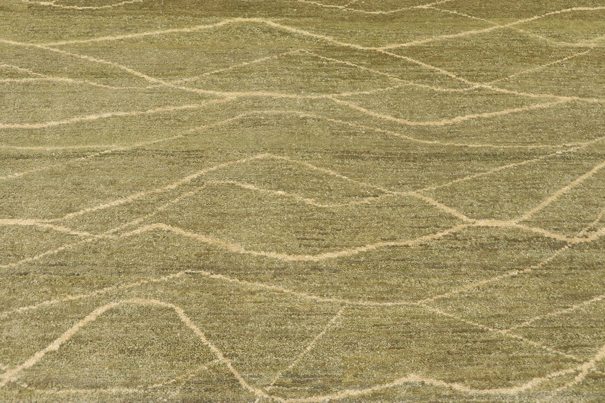 4 x 6 Transitional Indian Rug 30287
