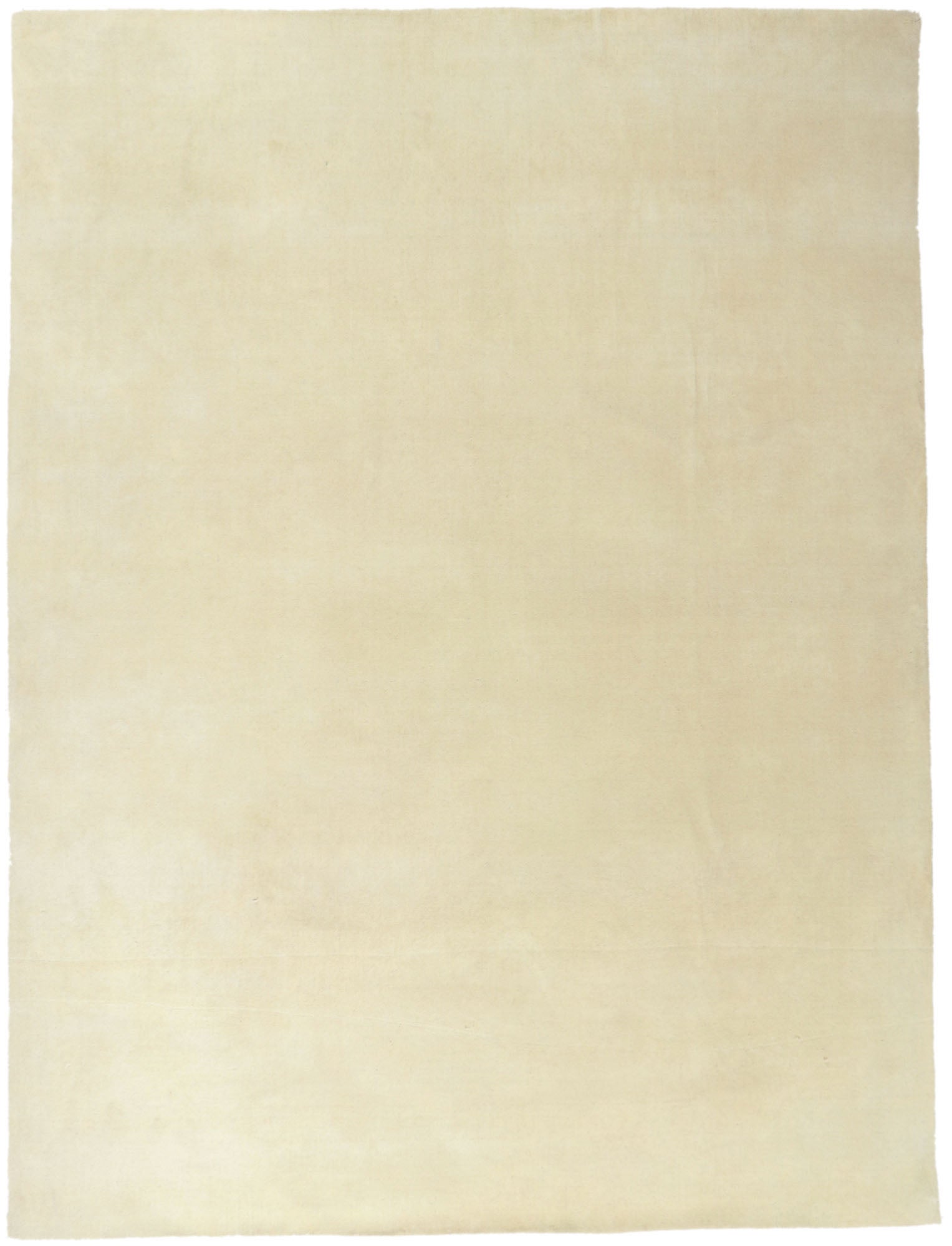 9 x 12 Contemporary Ivory Area Rug 30754