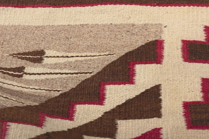 4 x 8 Antique Crystal Navajo Pictorial Rug 78560
