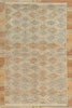 5 x 8 Earth-Tone Transitional Rug 30490