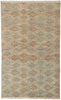 5 x 8 Earth-Tone Transitional Rug 30490