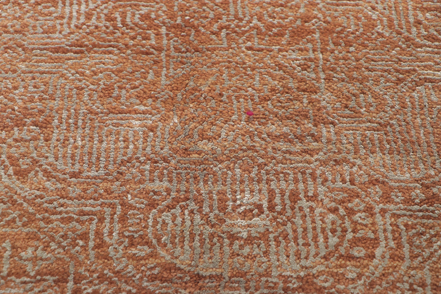 6 x 11 Transitional Talavera Rug 30280