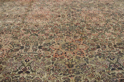 12 x 18 Antique Indian Agra Rug 71060