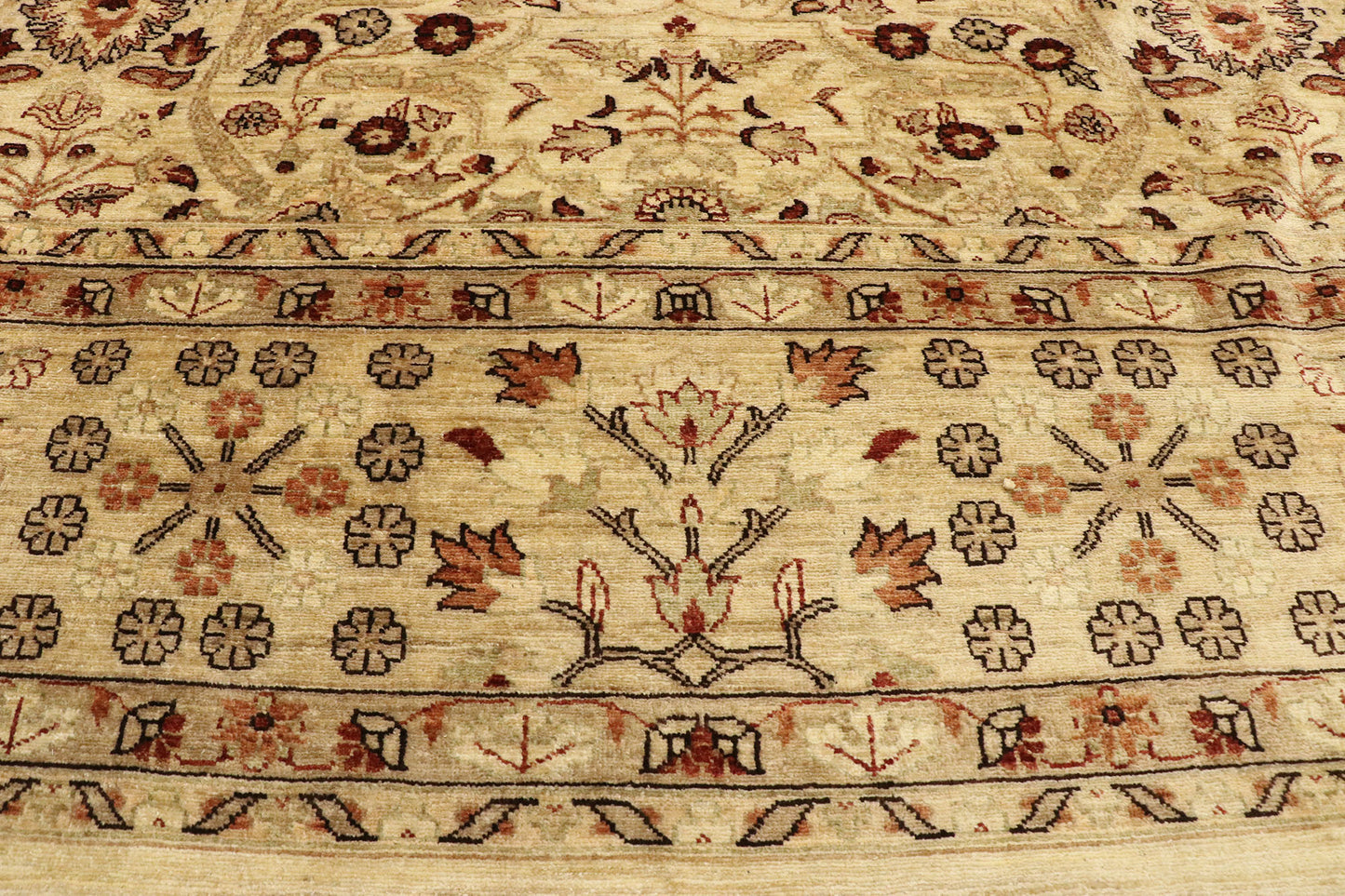 12 x 15 Pakistani Rug 74198