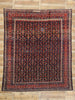 10 x 12 Antique Persian Malayer Rug 77016