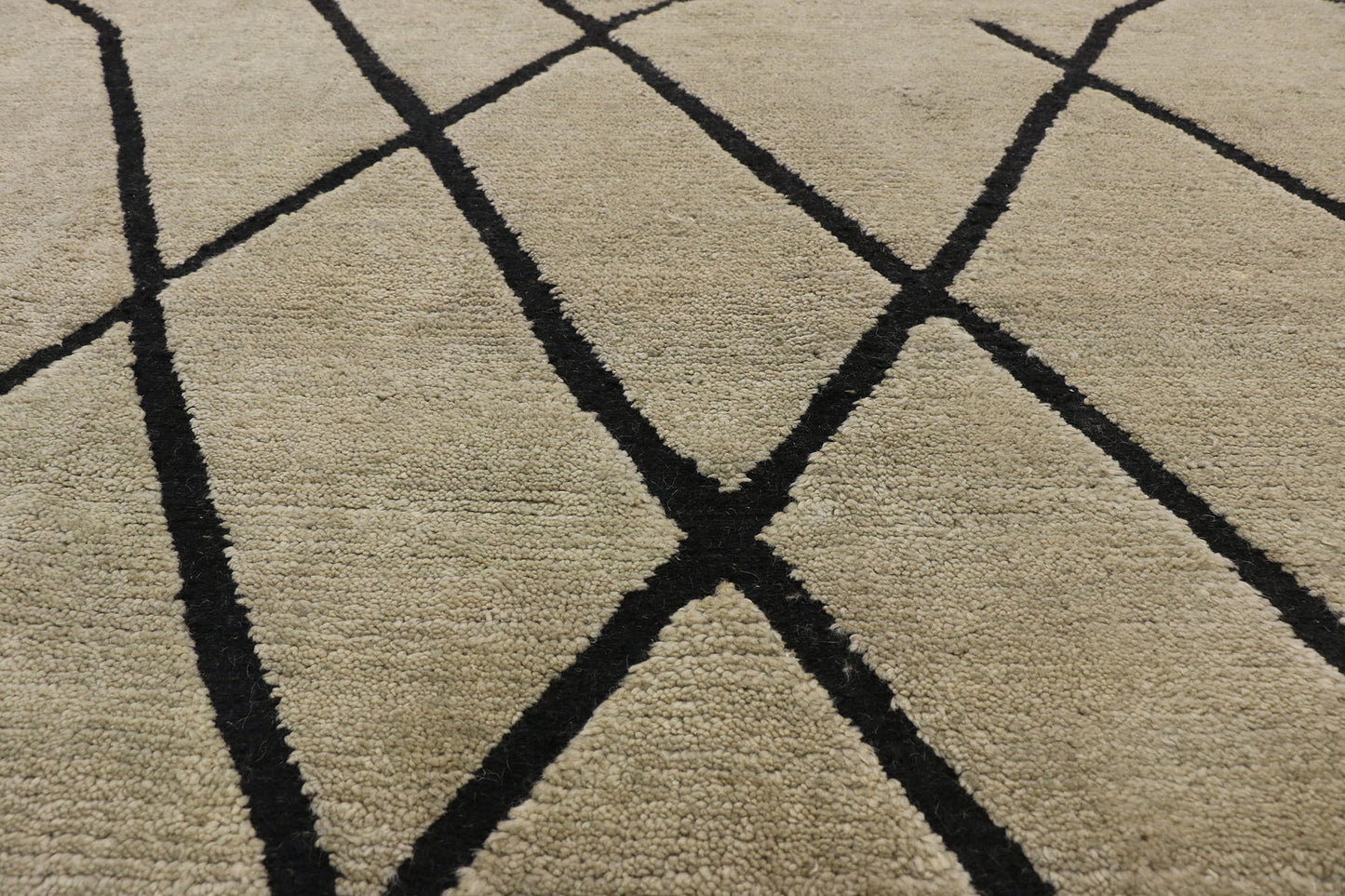 10 x 14 Organic Modern Moroccan Rug 80502
