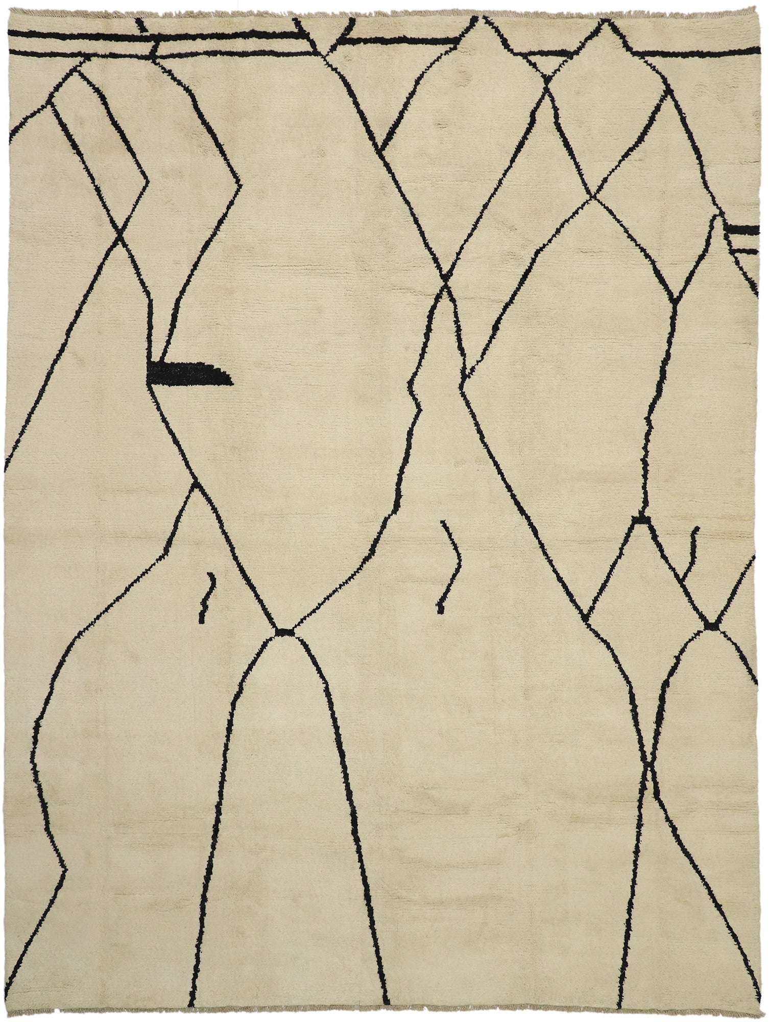 10 x 13 Organic Modern Moroccan Rug 80509