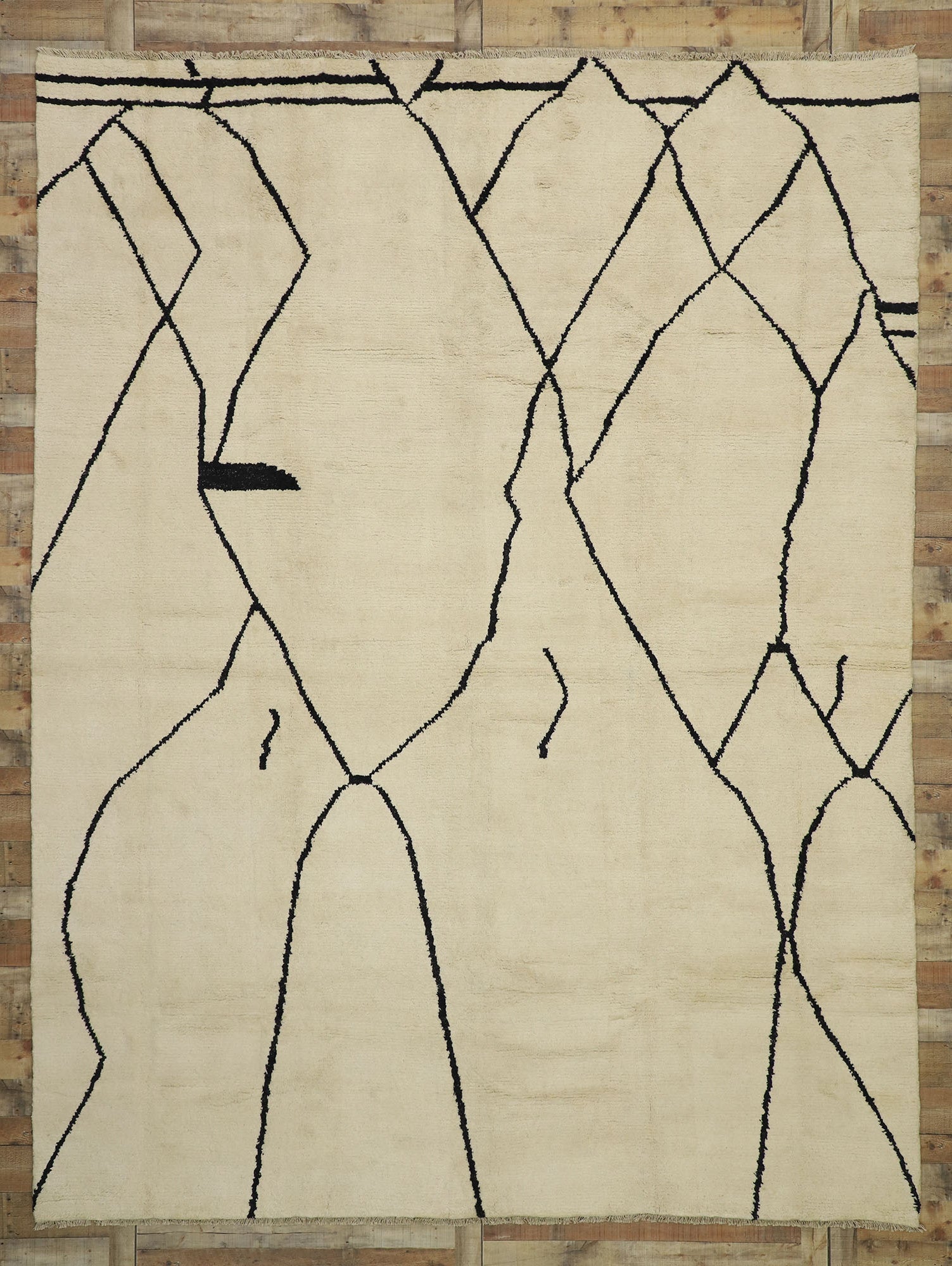 10 x 13 Organic Modern Moroccan Rug 80509