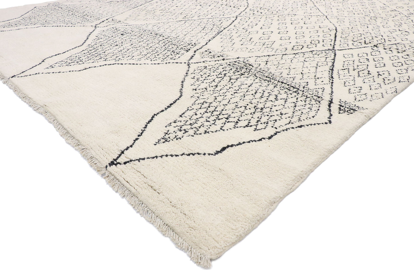 11 x 14 Organic Modern Moroccan Rug 80651