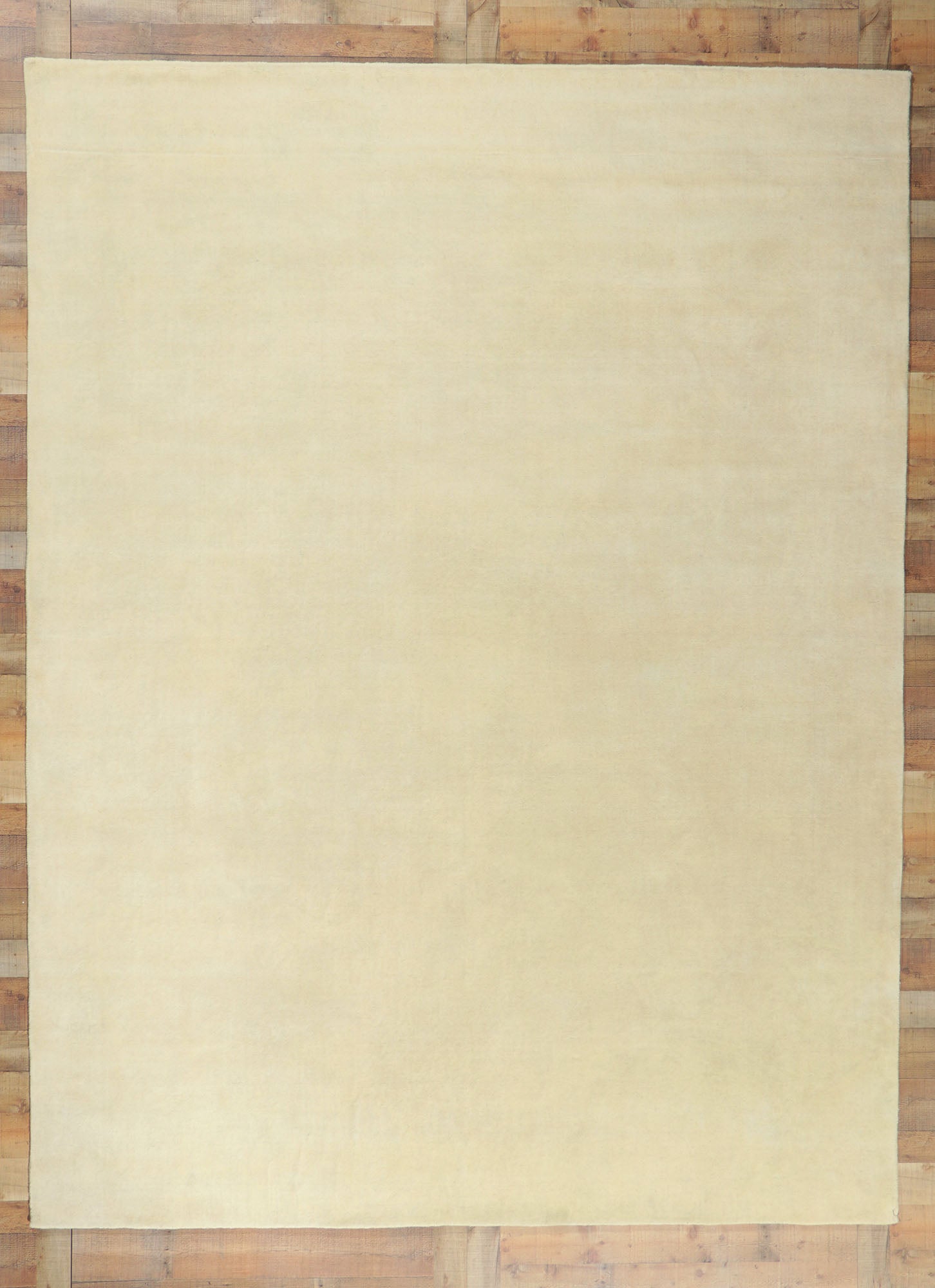 9 x 12 Contemporary Ivory Area Rug 30756