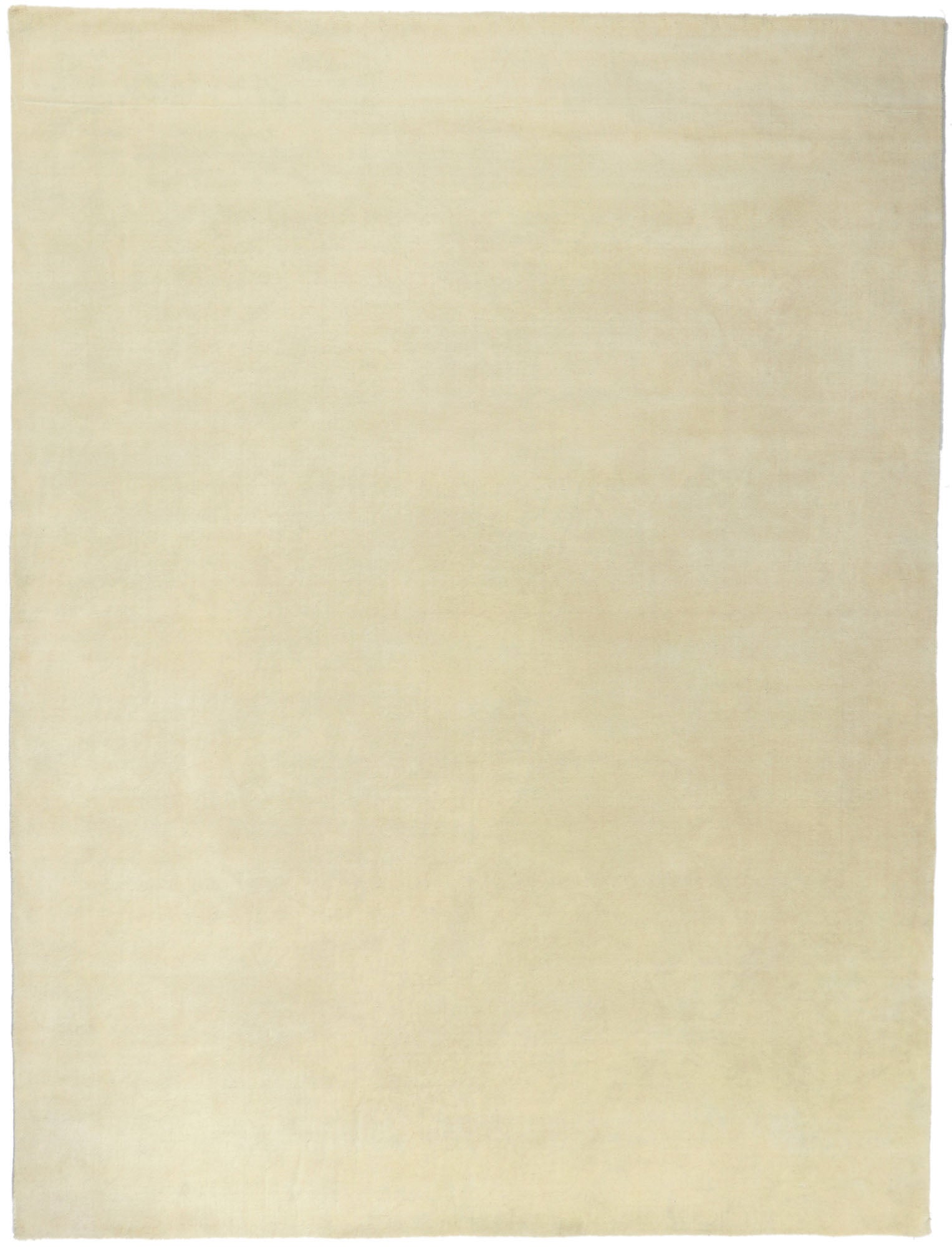 9 x 12 Contemporary Ivory Area Rug 30756