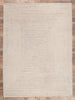 9 x 12 Neutral High-Low Modern Rug 30817