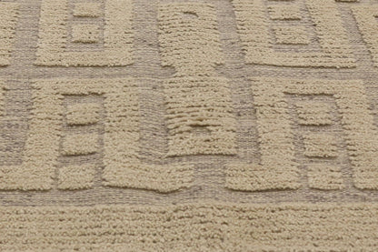 9 x 12 Transitional High-Low Rug 30510