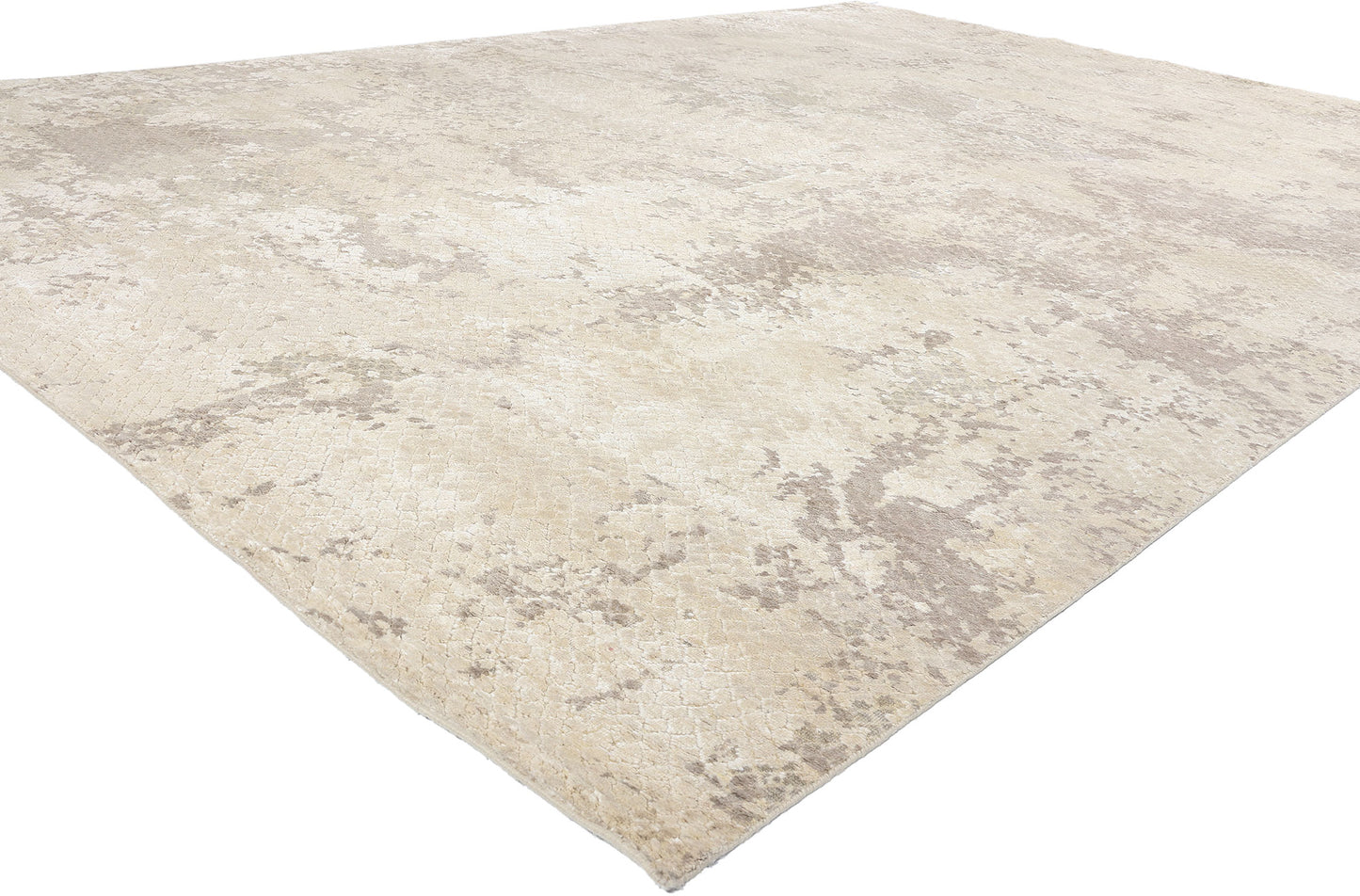 10 x 14 Contemporary Abstract Biophilic Design Rug 31053