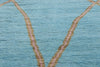 9 x 12 Azure Elegance Abstract Moroccan Rug 31261