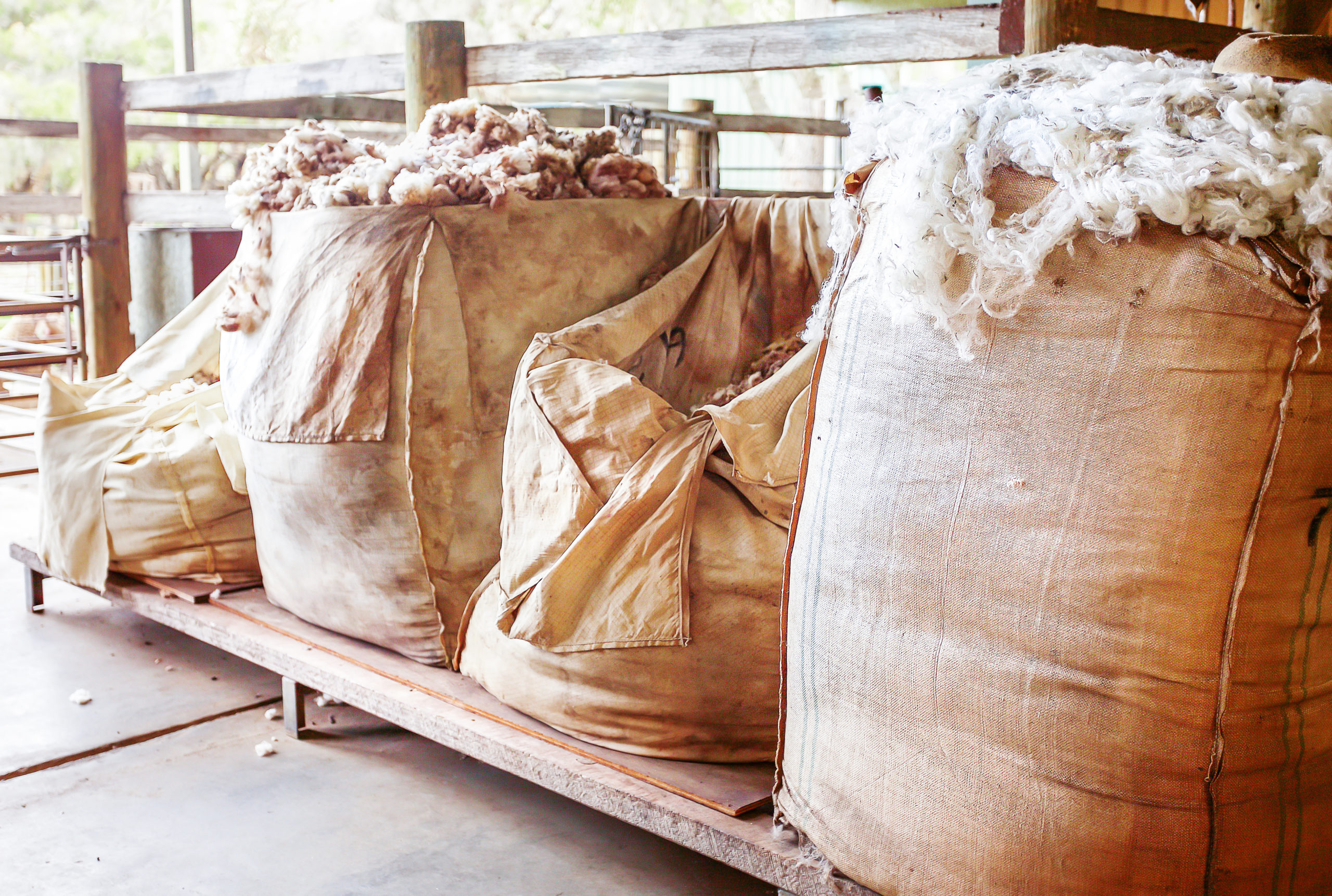 Sustainability Interior Design Bags of Raw Wool