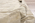 10 x 14 Contemporary High-Low Rug 30889