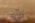 9 x 12 Antique Earth-Tone Chinese Art Deco Rug 78989