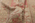 3 x 7 Vintage Pink Turkish Oushak Rug 53999