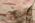 4 x 8 Vintage Pink Turkish Oushak Rug 54001