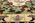 13 x 15 Vintage Sarah Gayle Carter Black Forest Hooked Rug 79239