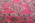 7 x 11 Vintage Pink Talsint Moroccan Rug 79256