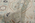 3 x 11 Modern Light Gray Turkish Oushak Rug 54011