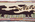 2 x 3 Vintage Gloucester Old Spot Pig Hooked Rug 79267