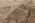 9 x 13 Late 19th Century Antique Persian Kermanshah Rug 72742