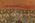 9 x 15 Antique Persian Bakshaish Rug 73994