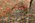 10 x 13 Vintage Orange Persian Tabriz Rug 75612