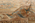 13 x 18 Modern Earth-Tone Persian Sultanabad Rug 76553